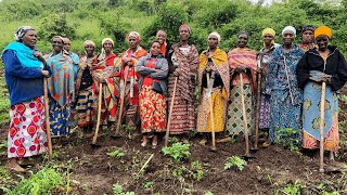 Seeding the Future: Women Protecting Forests, Climate, and Communities