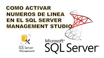 Como activar "Números de Línea en SQL Server Management Studio", fácil y rápido #sql #sqlserver
