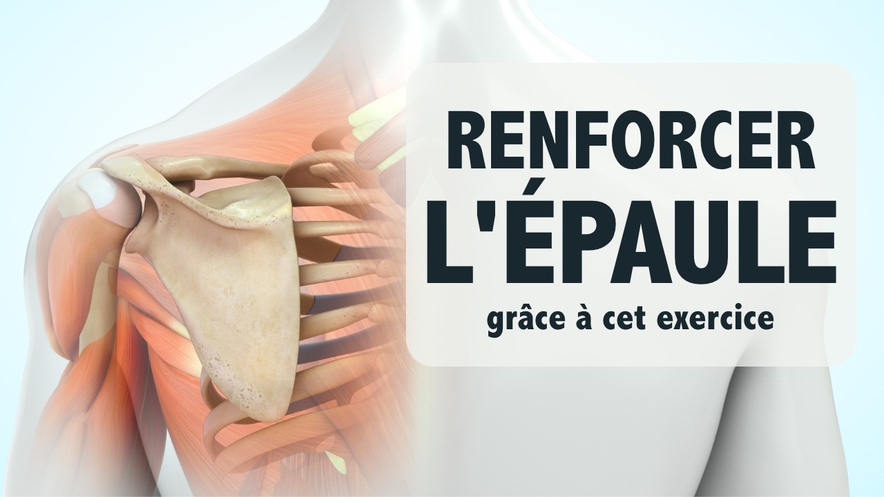 Renforcer l'épaule et stabiliser l'omoplate grâce à cet exercice! YouTube — free download