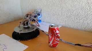 Robotic Arm - Detect and Sorting Objects