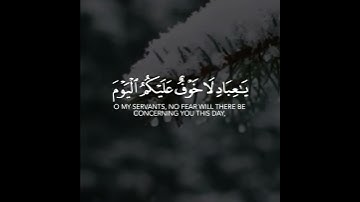 أجمل حالات واتس اب قرآن كريم بدون حقوق بصوت محمد صديق المنشاوي | صوت خاشع يريح القلب❤😴