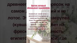 Цветок, который обманывает художников  #цветы