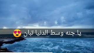 كريم محسن الصباغ حاله واتس جوايه لسه كلام يتقال ⁦❤️⁩يا ملاك 💙