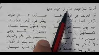 جمع المؤنث السالم 《 اعراب في ابيات شعرية 》 | ا. توفيق اسماعيل .