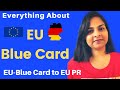 EU Blue card 2021|| Benefits of Blue card || EU Blaue Karte [Hindi]