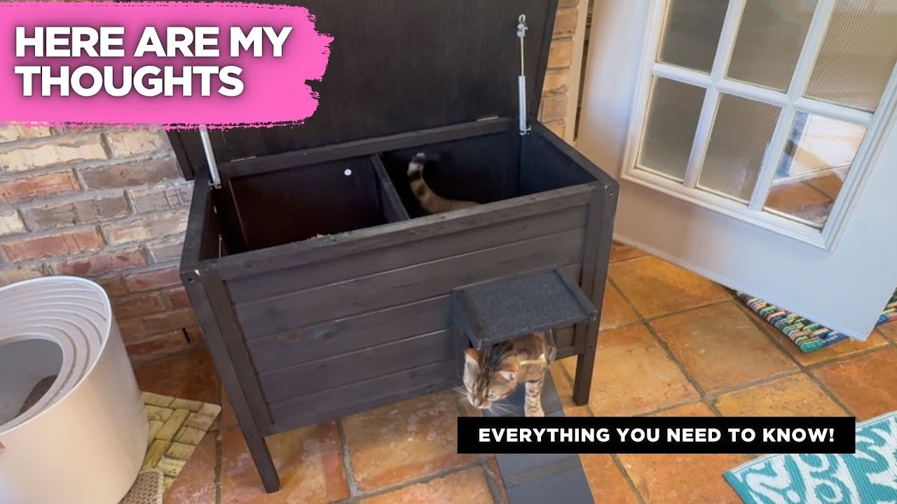 BRIOPAWS Outdoor Cat House Review | Insulated Winter Shelter for Feral Cats