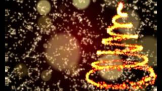 NAVIDAD CONSORCIO GEORGE BUTLER.avi