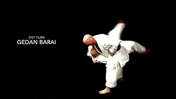 Heian Shodan bunkai preview