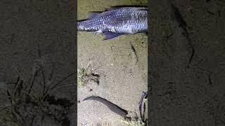 Urlaub Am See In Schweden