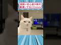 猫飼い初心者が絶対勘違いすることwww #猫 #すごい #ゆっくり解説 #2ちゃんまとめ #面白集 #2ch面白いスレ #スレ民