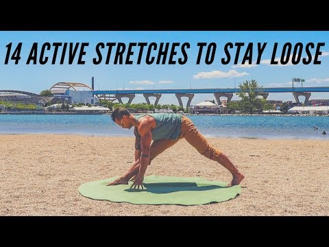 14 Active Stretches for Better Mobility & Flexibility