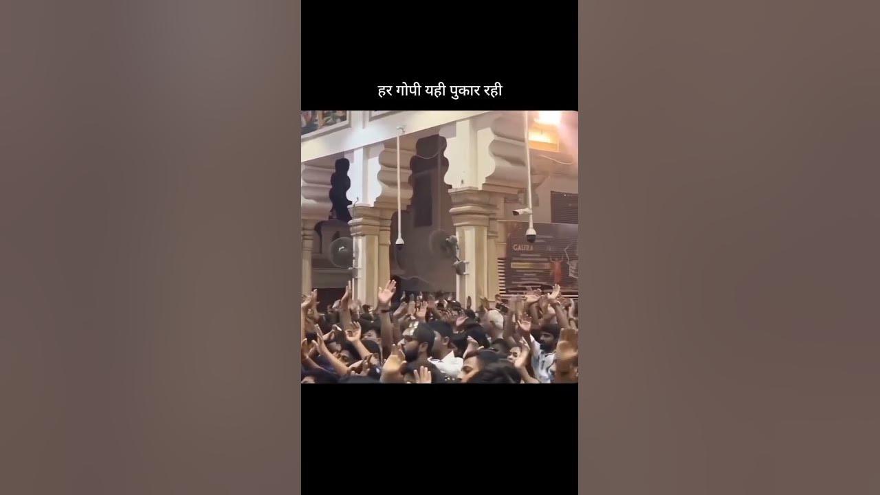 🤩😍just feel the lyrics😍🤩#feel#this#music#love#songs😍🤩