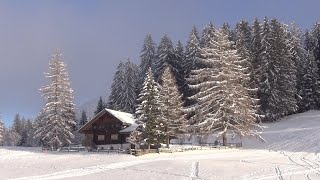 First Snow In Bernese Oberland Première Neige Dans Loberland Bernois