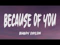 Bugoy Drilon - Because Of You  (Lyrics)