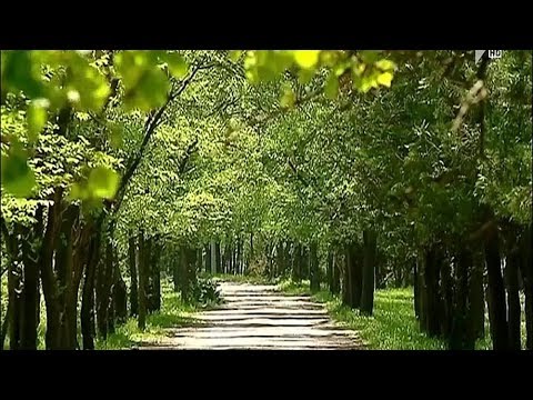 ბიომრავალფეროვნების პროგრამის პრეზენტაცია