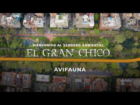 Sendero Gran Chicó - Avifauna