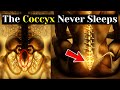 3 Secret Microwaves From The Coccyx That Unlock Creative Power While You Sleep No One Teaches This 3 Secret Microwaves From The Coccyx That Unlock Creative Power While You Sleep No One Teaches This
