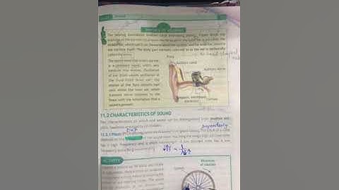 Class 10 Physics Chap 11 Sound waves Characteristics Part 1