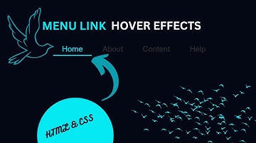 Animated Navigation Bar in HTML and CSS | Menu Hover Animation Effects