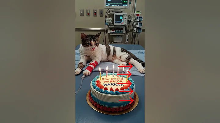 #animalintelligence #cat #cake #o #cute #aiandcats #happybirthday #aicats #funny #kitten #o