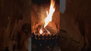 Winter Fire With Family In Bangor - Northern Ireland - February 2024