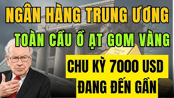 Ngân Hàng Trung Ương Toàn Cầu Ồ Ạt Gom Vàng – Chu Kỳ 7.000 USD Có Đang Đến Gần?