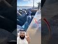 قد تصادف مشهد ا بسيط ا لكنه يخفي خلفه عجب ا يدهشك اكسبلور لايك اقتباسات  