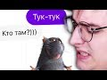 ПРИТВОРИЛСЯ ДЕВУШКОЙ В БАДУ 3 (ТУК-ТУК Edition) | Веб-Шпион #3