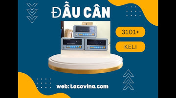 Đầu hiển thị cân 3101+ giới thiệu hướng dẫn cài đặt, hiệu chuẩn ( calib)