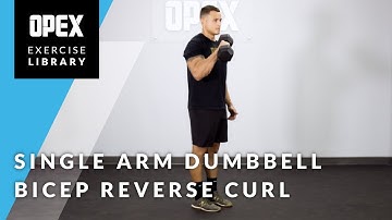 Single-Arm Dumbbell Bicep Reverse Curl - OPEX Exercise Library