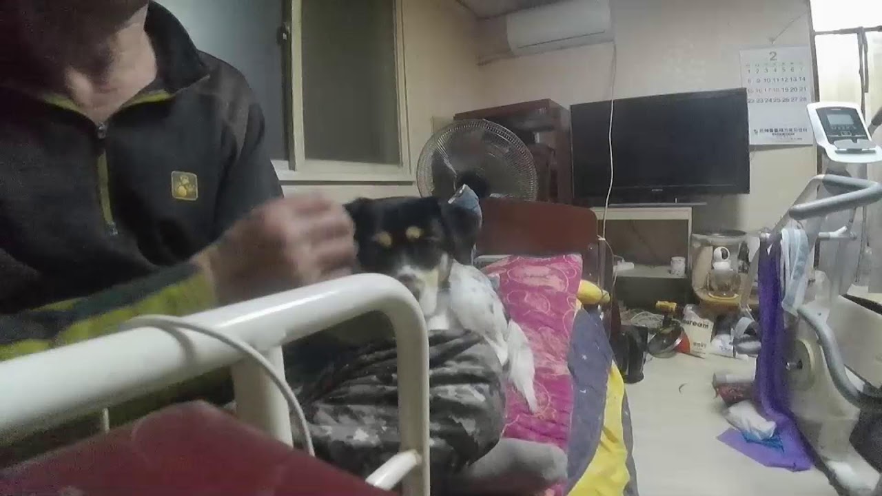 신복순이와주니어(shin hyuno)