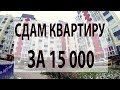 Сдам квартиру за 15000 в месяц в Питере