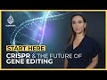 Crispr what is the future of gene editing  start here