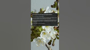 Do you guys also spend hours on stupid mistakes ?