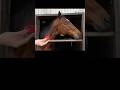 ムシャァ 3/3 #引退馬 #horse #馬 #なみあし会