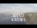 What The Wind Knows ** Official Book Trailer ** Amy Harmon