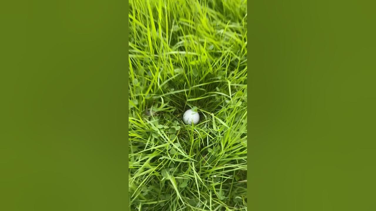 This Rough Is MENTAL YouTube this-rough-is-mental-youtube