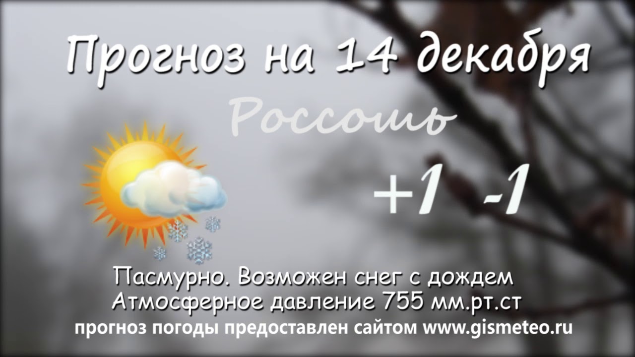Часы погода россошь. Погода Россошь. Погода Россошь Воронежская область. Погода в Россоши сейчас. Погода в Россоши на сегодня.