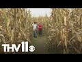 How corn mazes are brought to life