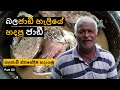 බලජාඩි හැලිය | බලජාඩි | ජාඩීදාමු | salted fish