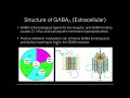 The GABAa Receptor Positive Allosteric Modulation The GABAa Receptor Positive Allosteric Modulation