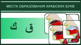 7. Места образования ك  ق  | Айман Сувейд (русские субтитры)