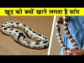 जानवरों की ये हरकतें आपको हैरान कर देगीं| Weird Animal Behaviors| Bizarre Animal Behaviors