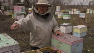 Ревизия зимовалого нуклеуса. Замена улья, добавление кормов.