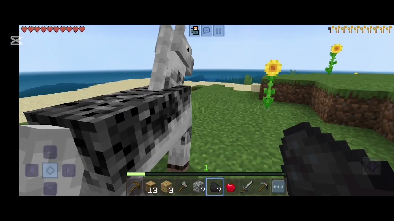 استمتع بالمشاهدة 