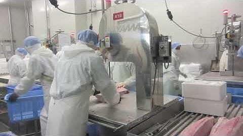 Máy cưa cá ngừ Akiyama A16 (Bandsaw) - Thiết Bị Á Châu