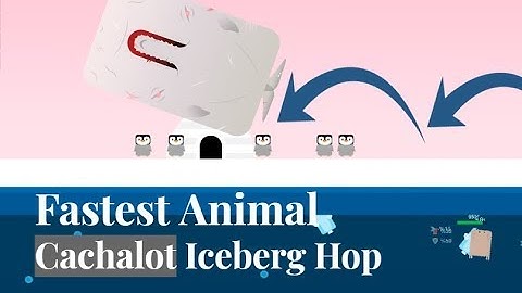Deeeep.io - Fastest Animal Pt.1(Icerberg Hopping Cachalot)