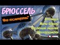 Путешествие в Бельгию | Что посмотреть в Брюсселе?