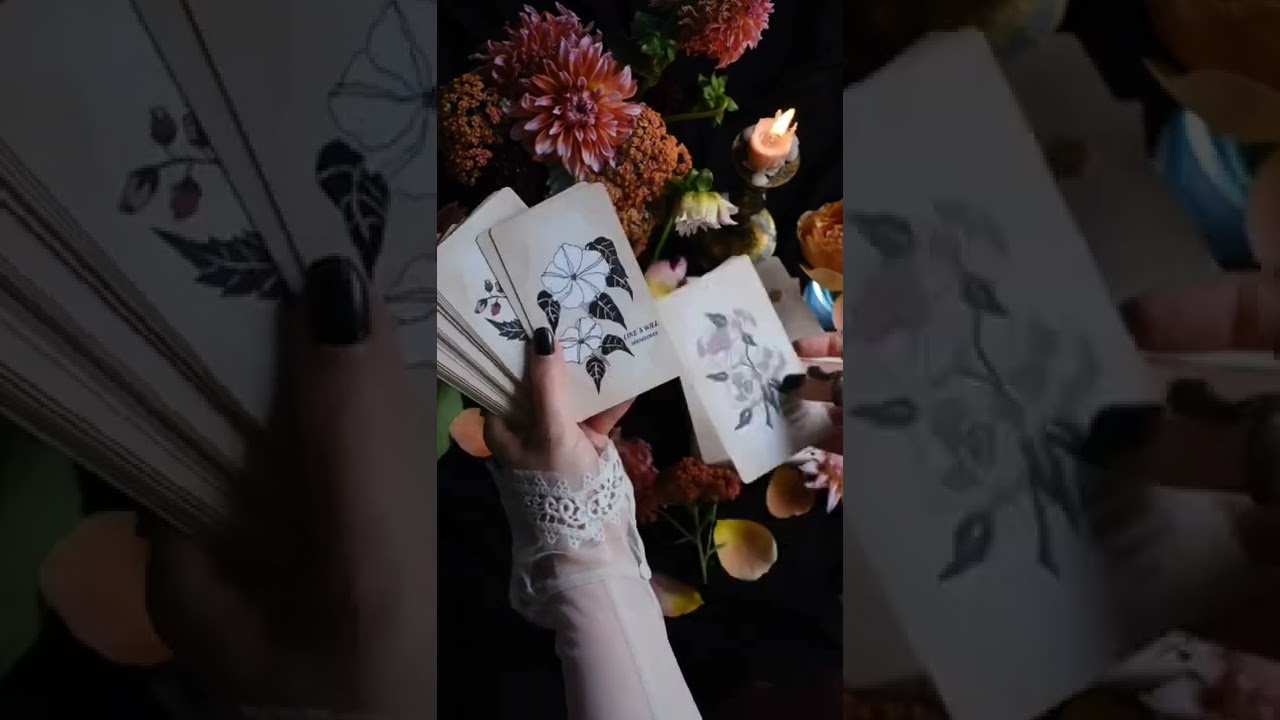 Pythia Botanica Oracle, rooted in mythology, infused with plant magic. 