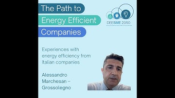 The Path to Energy Efficient Companies: Experiences with energy efficiency from Italian companies